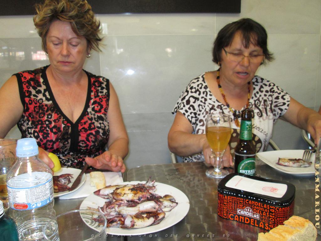 2015 06 06 et 07  APNA A DALIAS ALMERIA  (6).JPG -                                